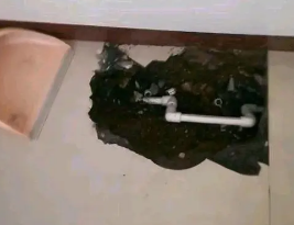 崇左市卫生间测漏水多少钱
